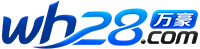 万金28预测网